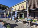 道の駅日向では地元の名産品を販売、中でも日向特産の柑橘「へべす」が人気です!お車で30分