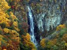 秋の志賀高原　潤満滝