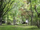施設「おさんぽみち」