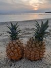 夕陽とパイナップル