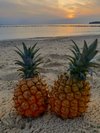 パイナップルと夕陽