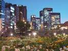 中之島公園