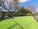 ���������OK�I�O�����s���O�h�[���y�G�A�R�������z