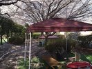 ���A��BBQ