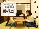 小型犬2匹まで一緒にご宿泊いただけます