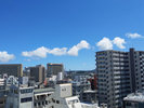 最上階客室からの眺め