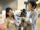 【愛犬おやつコーナー】愛犬お気に入りのおやつを見つけてみてください♪