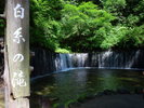 【白糸の滝】無数の地下水が湾曲した岩肌から滲みだし白糸のように落ちている絶景 ※当館より車で15分