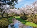 春の兼六園