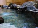 【鴛鴦の湯】露天風呂