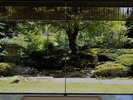 ラウンジから庭園の眺め【夏】