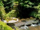 庭園内を流れる粟津川