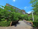 庭園からの満天ノ辻のや【新緑】