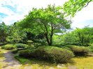 新緑の庭園【夏】