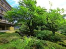 新緑の庭園【夏】