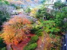 庭園の紅葉【秋】
