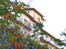 庭園の紅葉【秋】