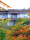 庭園の紅葉【秋】