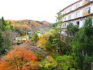 秋の庭園