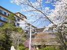 春の庭園