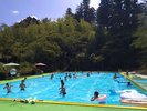 プール