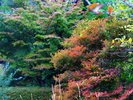 秋の庭園
