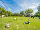 世界の名犬牧場。日本最大級の広さを誇るドッグランをはじめ、ワンちゃん設備を完備したドッグリゾート。