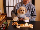 【アニバーサリープラン】記念写真と夕食提供時におもちゃをひとつプレゼントいたします。