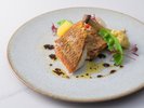 【2026年4月25日より販売開始】魚料理