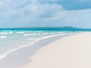 海
