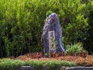 通り池