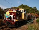 【わたらせ鉄道】自然の織りなす美しい景色を楽しめます