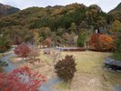 【キャンプ場】秋の自然を身近に感じるキャンプ場