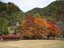 【外観】秋の彩りがお迎えします