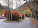 【登山口】紅葉に包まれる登山道
