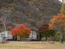 【キャンプ場】秋景色に包まれるキャンプステイ