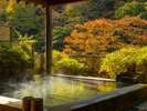 色づく山並みを眺めながら、伊香保の名湯黄金の湯でゆったりとしたひと時。