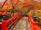 紅葉の名所として有名な伊香保温泉の湯元付近にある「河鹿橋」。