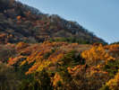 紅葉した山々