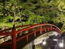 新緑の河鹿橋が期間限定でライトアップされます。自然豊かな伊香保で癒しの旅を。