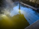 良質な泉質も魅力の一つ。柔らかな湯ざわりの温泉です。