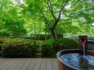庭園露天風呂付客室では、美しい景色を独り占めしながら湯浴みをお愉しみ下さい。