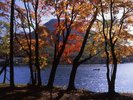 榛名湖の紅葉見ごろは例年10月中旬〜11月上旬。ロープウェイから一望できます。