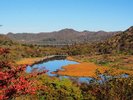 赤城山の湿原「覚満淵」水辺の散策も心地よく、一面に広がる草紅葉が人気のスポット。