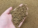 天香石の砂