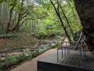 近隣 万葉公園