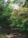 風景