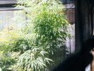 施設内