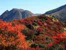 くじゅう連山(紅葉)