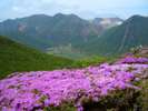 くじゅう連山